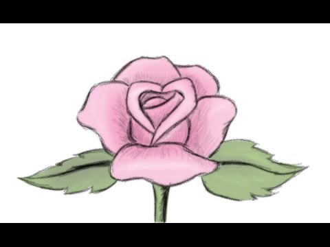480x360 How To Draw A Beautiful Rose Flower Yzarts Yzarts
