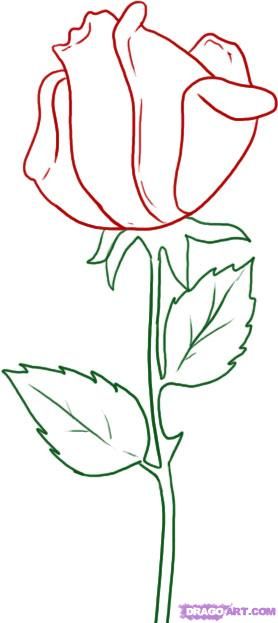278x623 How To Draw A Rose How To Draw Simple Rose, Rose