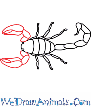 300x350 Scorpion 05.png