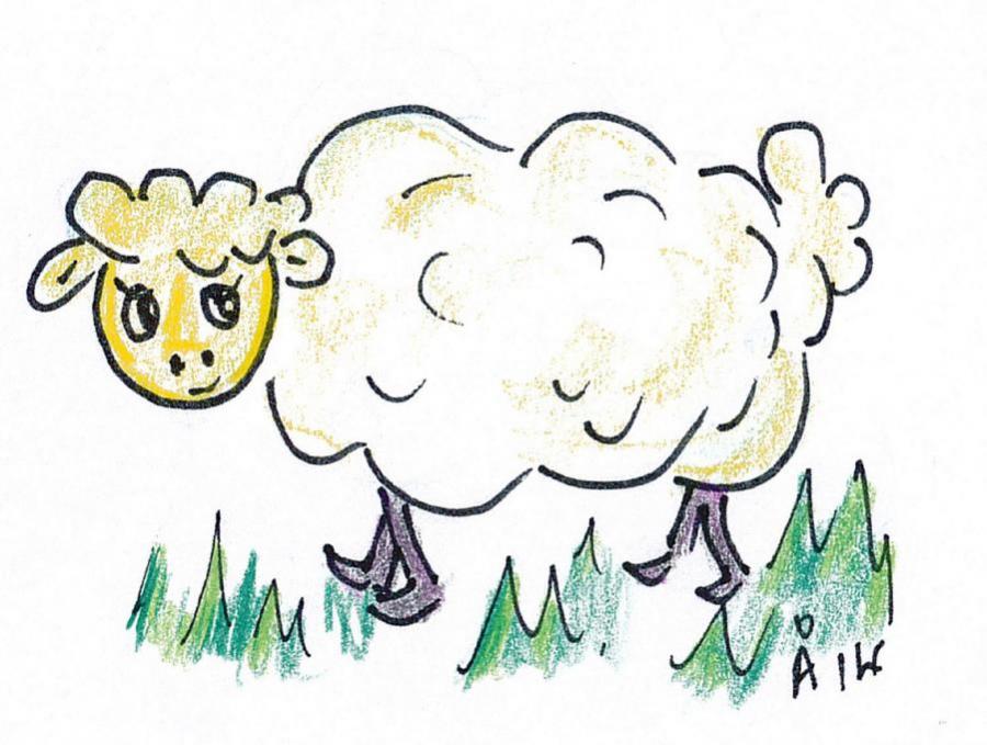 900x679 Sheep. Nature. Drawings. Pictures. Drawings Ideas For Kids. Easy