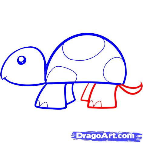 472x472 How To Draw A Simple Turtle Thinking We'Ll Draw The Turtle Then