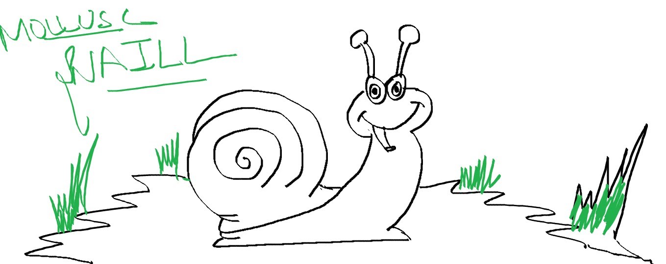 1359x540 Easy Kids Drawing Lessons How To Draw Cartoon Mollusc Snail