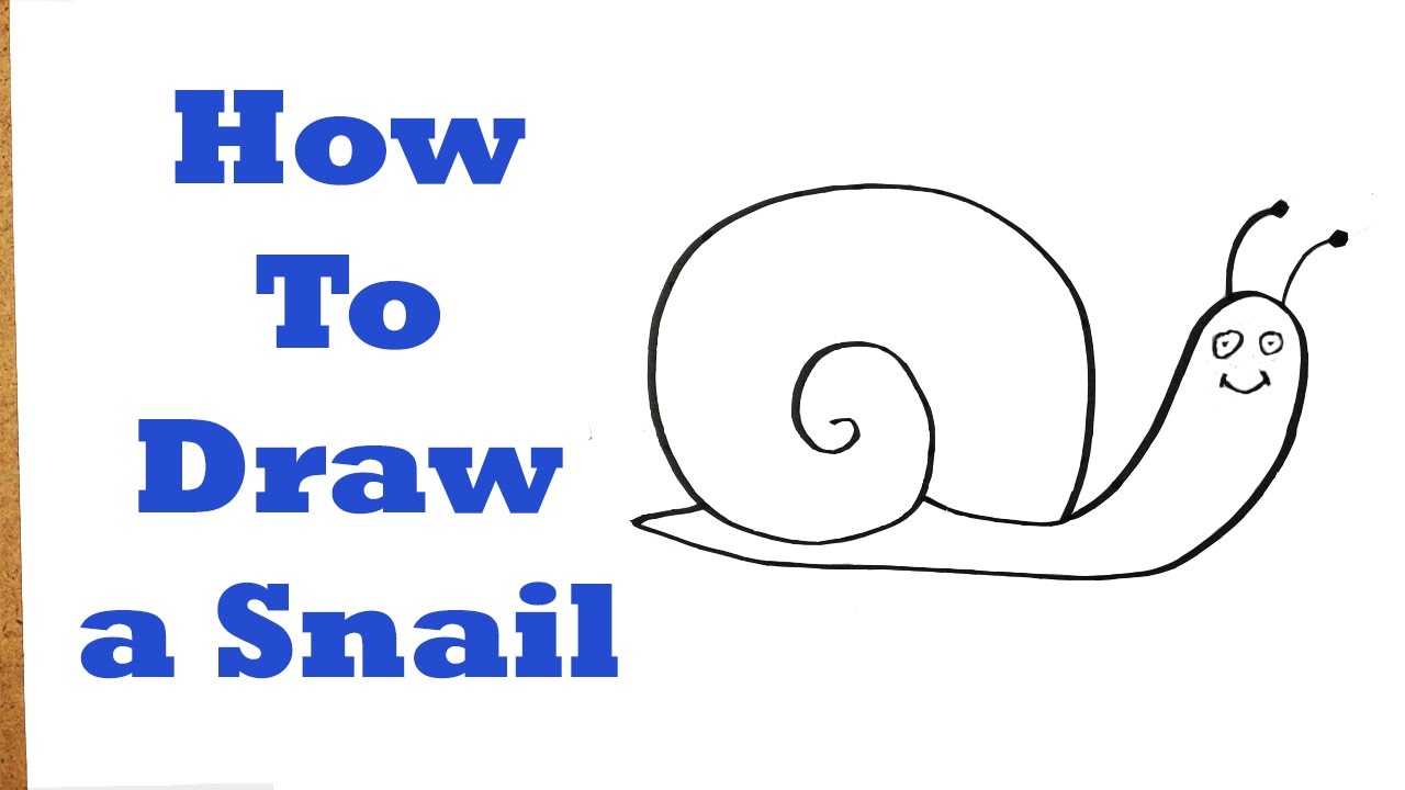 1280x720 How To Draw A Snail