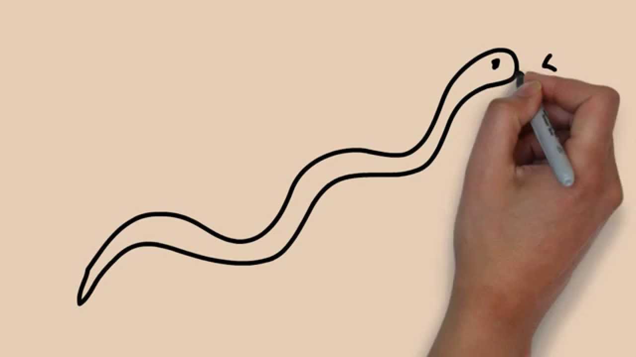 1280x720 How To Draw A Snake Easy For Kids