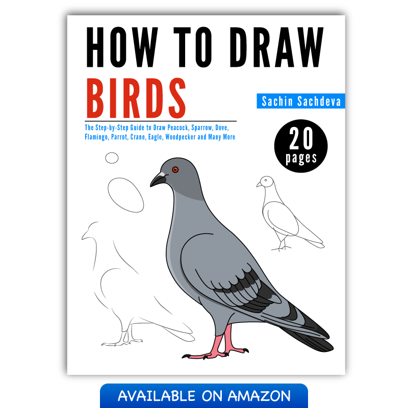 800x800 The Step By Step Guide To Draw Birds For Kids Inky Treasure