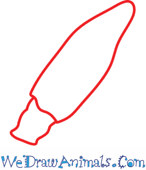 300x350 How To Draw A Squid