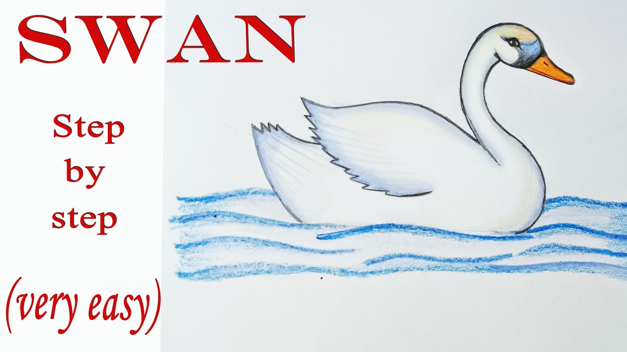 1280x720 How To Draw A Swan Step By Step (Very Easy)