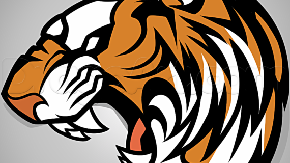 570x320 Simple Tiger Face Drawing How To Draw A Roaring Tiger, Step By