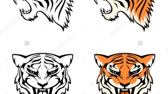 570x320 Simple Tiger Drawing Tiger Stock Vectors Amp Vector Clip Art