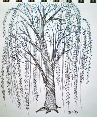 400x484 Willow tree drawing Go Back Gt Pix For Gt Simple Willow Tree