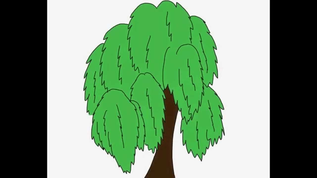 1280x720 Willow Tree How To Draw A Easy