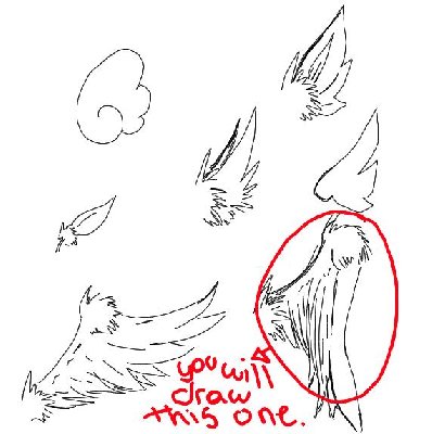 398x400 Animal Drawing Tutorial