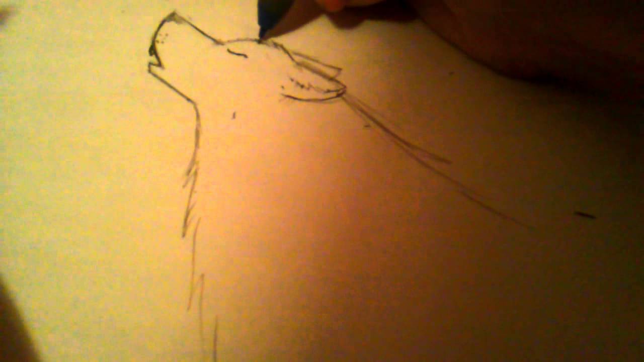 1280x720 How To Draw A Wolf Howling (Old)