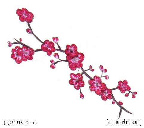 482x430 Cherry Blossom Treeblowing Windwall Decals Brian Bloom