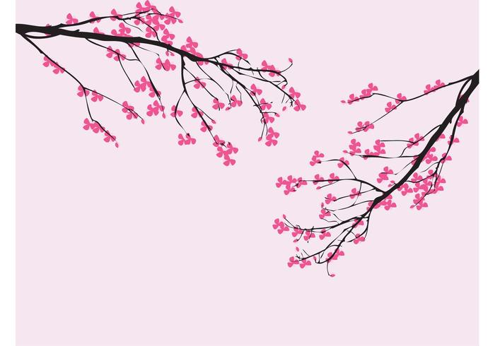 700x490 Cherry Free Vector Art