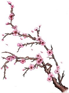 236x316 Ink On Cherry Blossom Tattoo Ideas