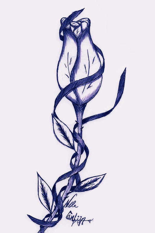 599x900 A Single Rose Drawing By Noelle Osborne