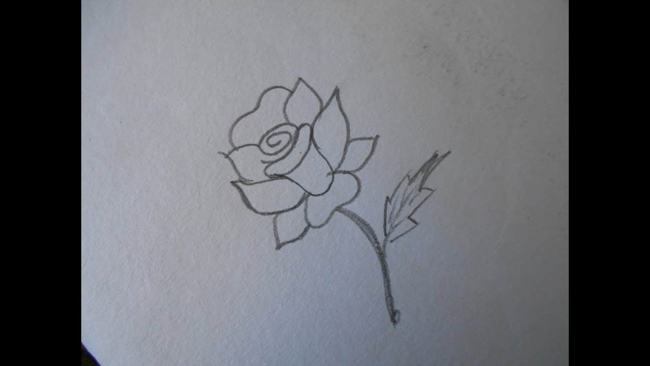 1280x720 How To Draw A Single Rose In An Easy Way !! Free Hand Drawing