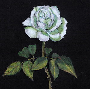 300x296 Single Rose Drawings Pixels