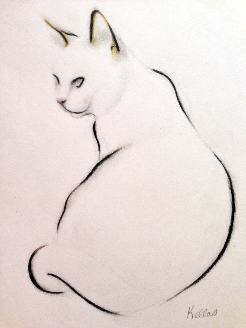 800x1067 Cat Study
