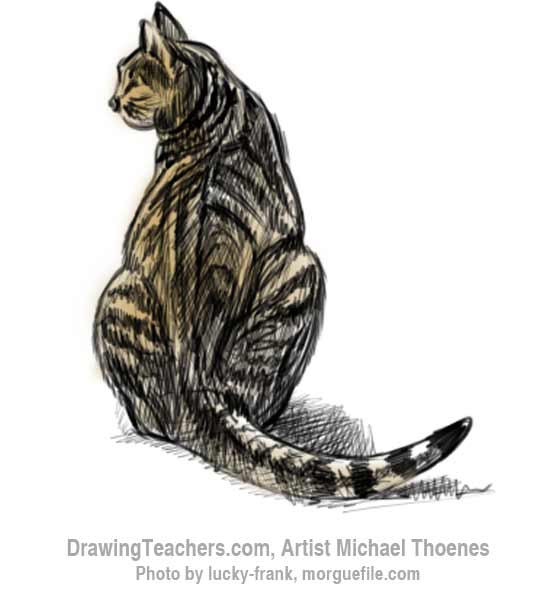 550x591 How To Draw A Cat Sitting