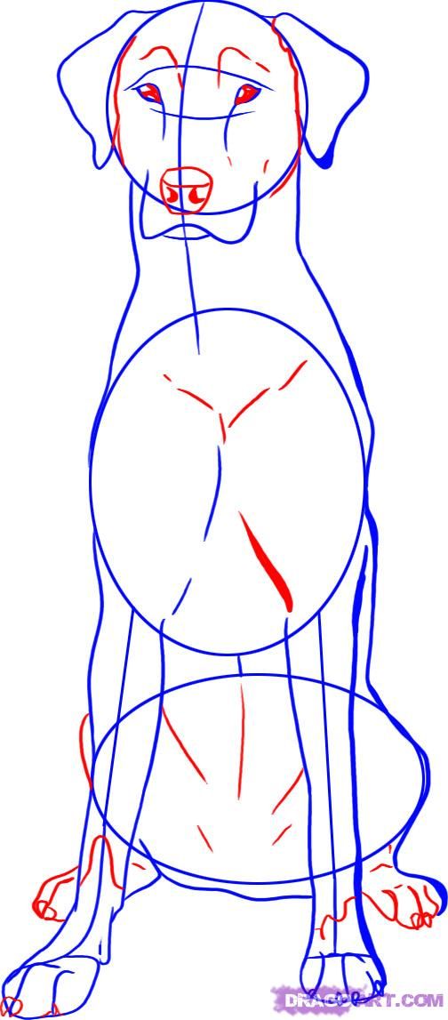 504x1147 Learning Draw With The Help Of My Talented Daughter ) How