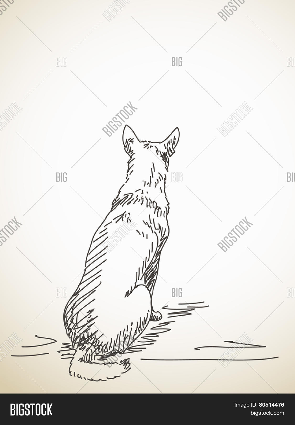 1125x1620 Sketch Sitting Dog Back. Hand Vector Amp Photo Bigstock