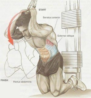 300x324 The No Bs Guide To Getting Shirt Tearing Six Pack Abs Anabolic Men