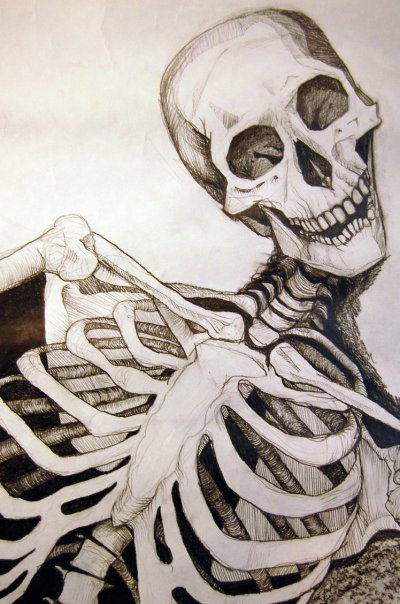 400x604 Skeleton Drawing Close Up Skeletons, Drawing Ideas And Drawings