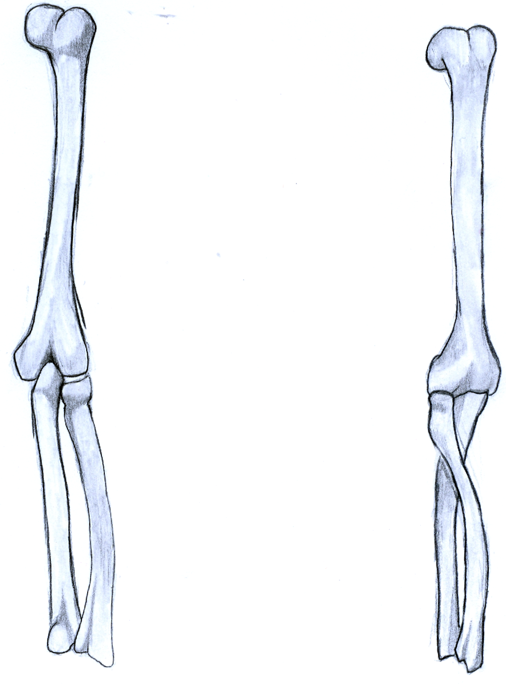 1033x1396 Candy Biu's Gallery