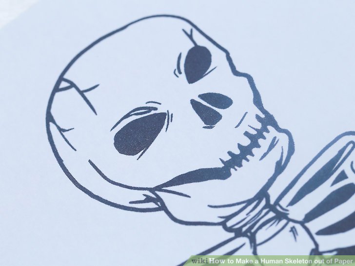 728x546 How To Make A Human Skeleton Out Of Paper 12 Steps