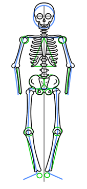 170x369 How To Draw A Skeleton