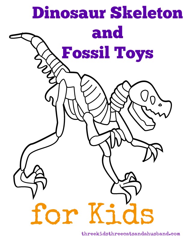 612x792 Photos Dinosaur Skeleton Pictures For Kids,