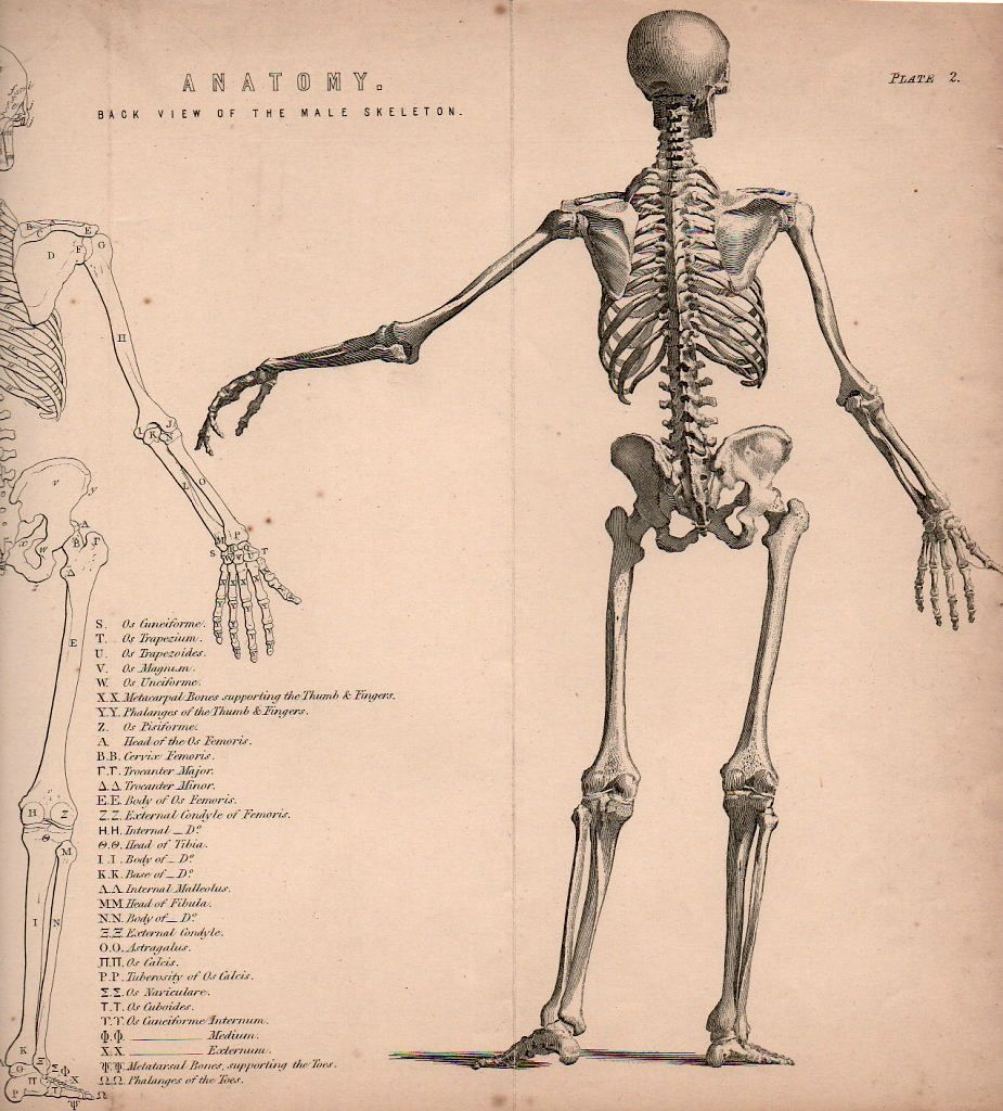 925x1024 From The National Encyclopedia Published By William Mackenzie