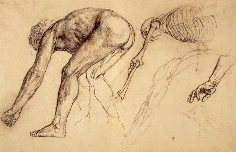 800x514 Gurney Journey Know The Skeleton