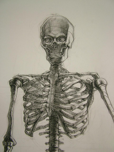 375x500 Nou Chee, Skeleton, Life Drawing Two, Fall 2008 Life