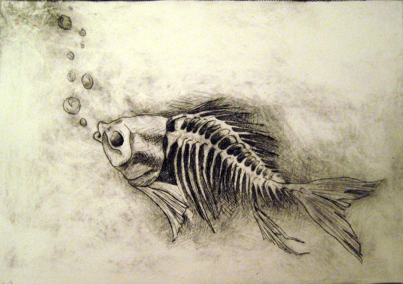 800x565 Skeleton Fish Print By ~this Blue Moon On Nautical