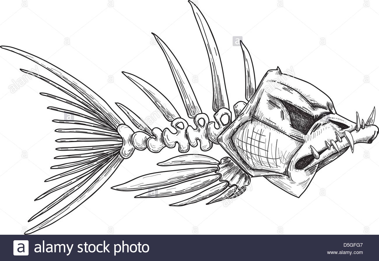 1300x894 Sketch Of Evil Skeleton Fish With Sharp Teeth Stock Photo