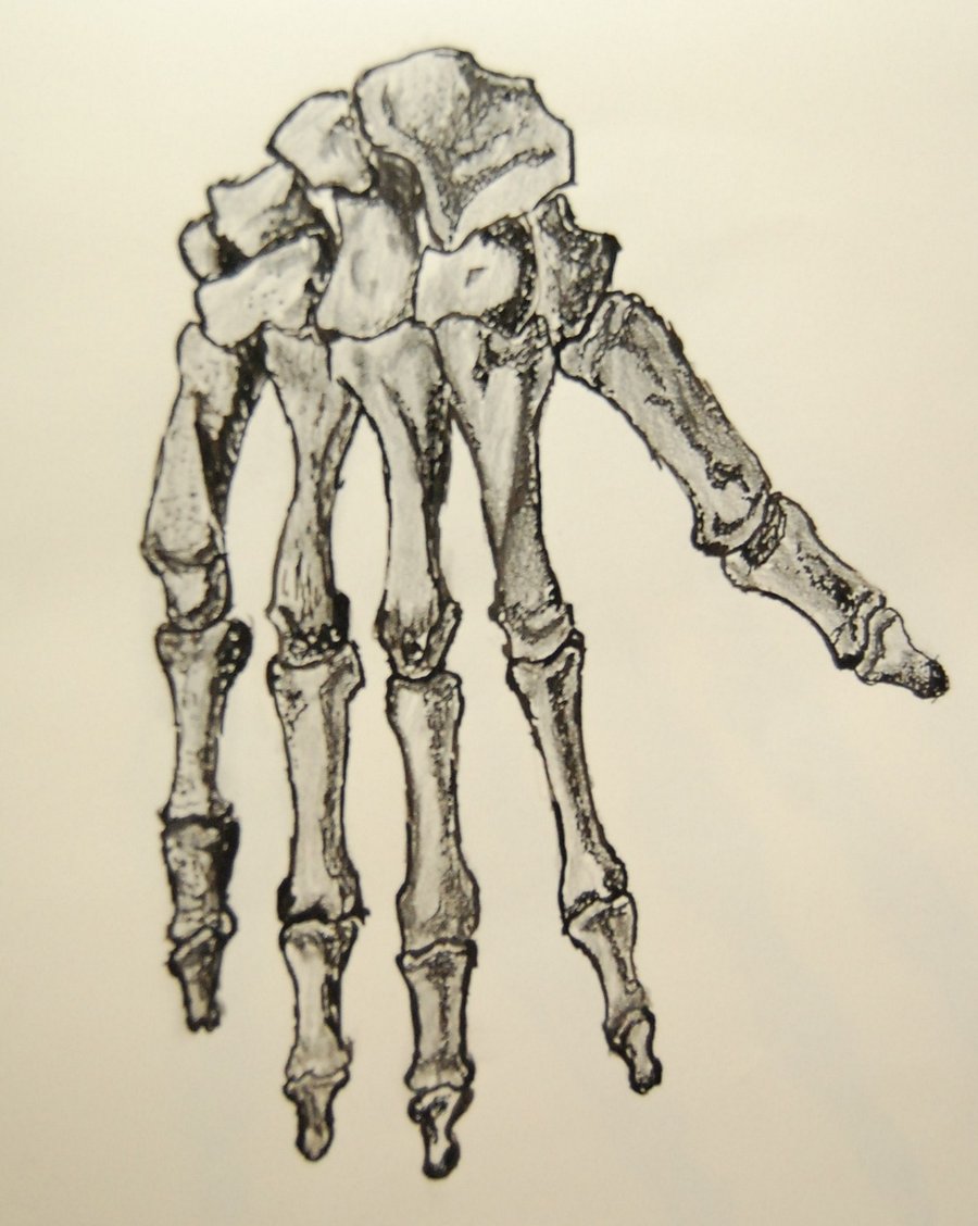 900x1128 Skeleton Hand