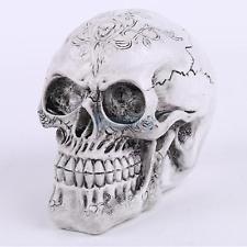 225x225 Realistic Model Anatomy Skull Head Drawing Figurine Statue