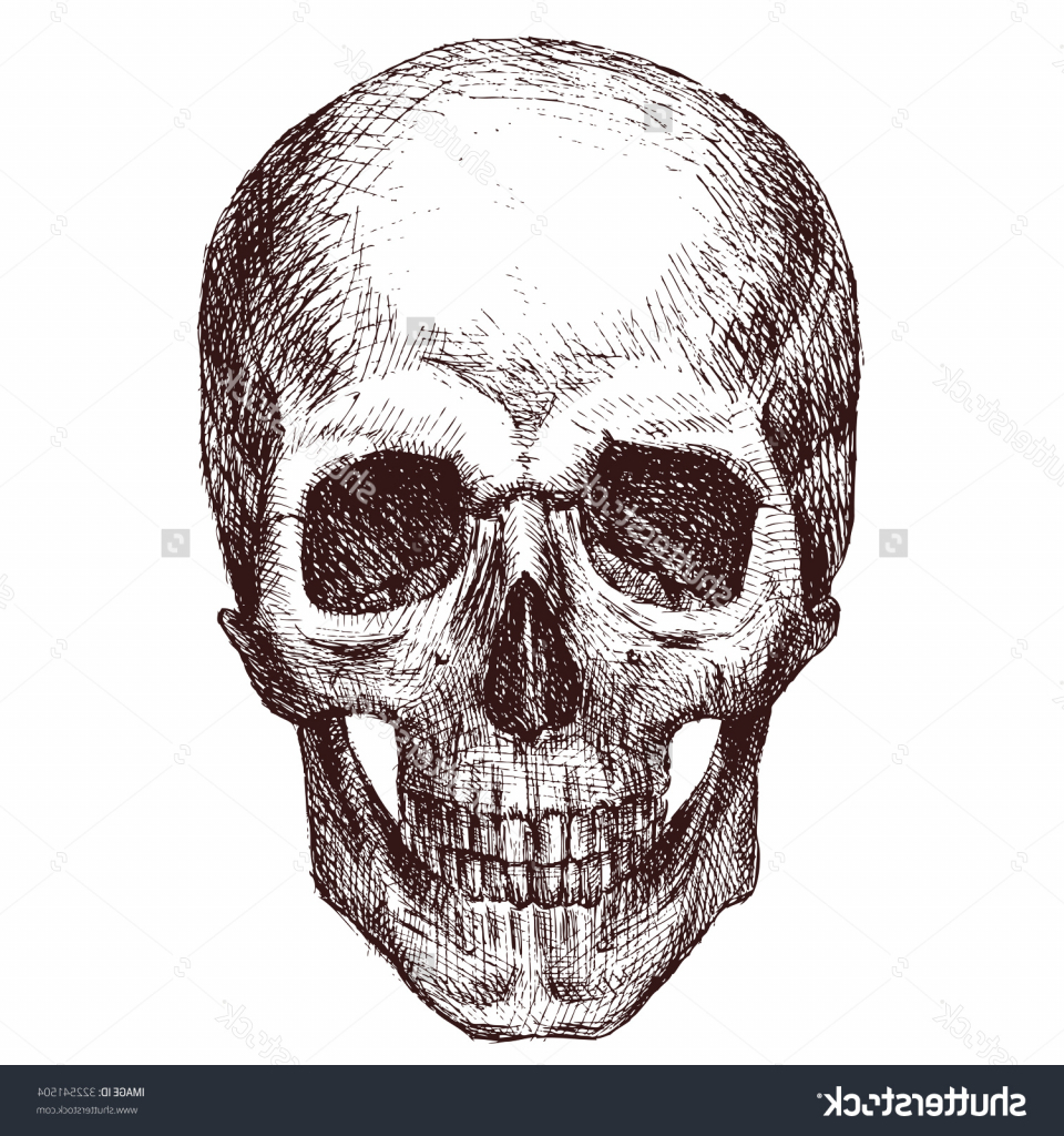 960x1024 Skeleton Head Drawing Drawn Sleleton Head