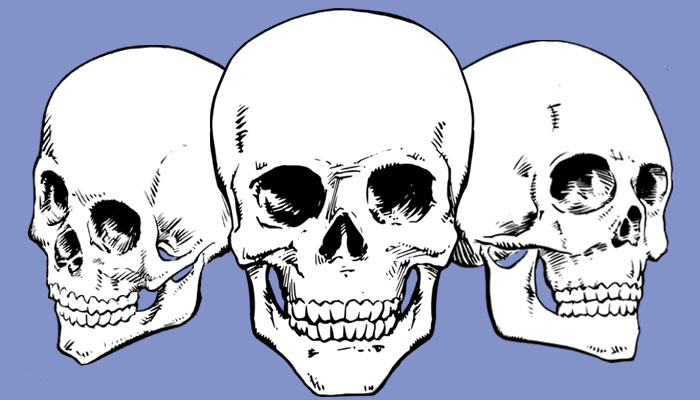700x400 Skull Drawings Sinx Designs