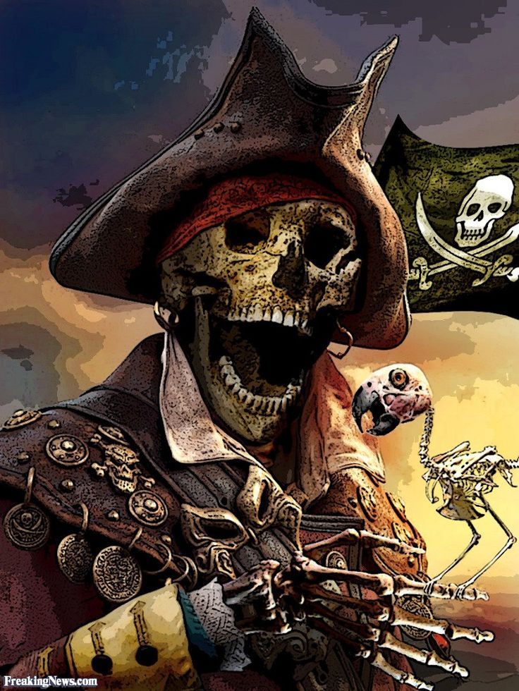 736x980 Skeleton Pirates Storyboard Pirates + Sea Creatures