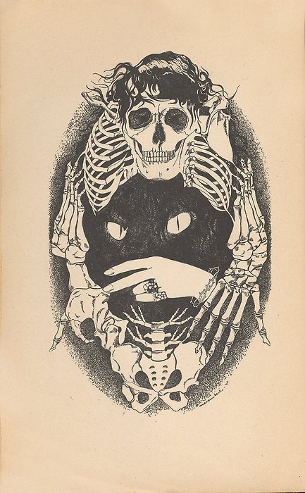 433x700 Bones Cat Etching Skeleton Skull 240740 Large.jpg (433