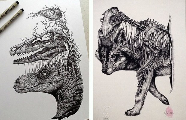 620x400 Stunning Drawings Of Animal Skeletons By Paul Jackson