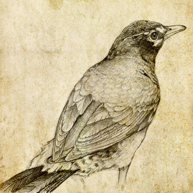 630x630 Sketches Switch Color Pencil Picture Swap Drawing On The App Store