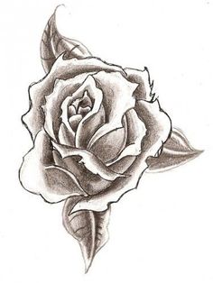 236x314 Black And White Rose Pics Rose Drawings Black White 5 Drawing