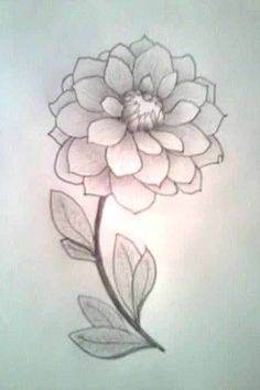 236x354 Easy To Draw Flowers Pretty Flowers By Redsommer For Details