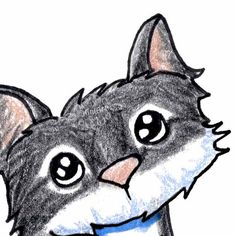 236x236 Fussy Cat Cats Cat