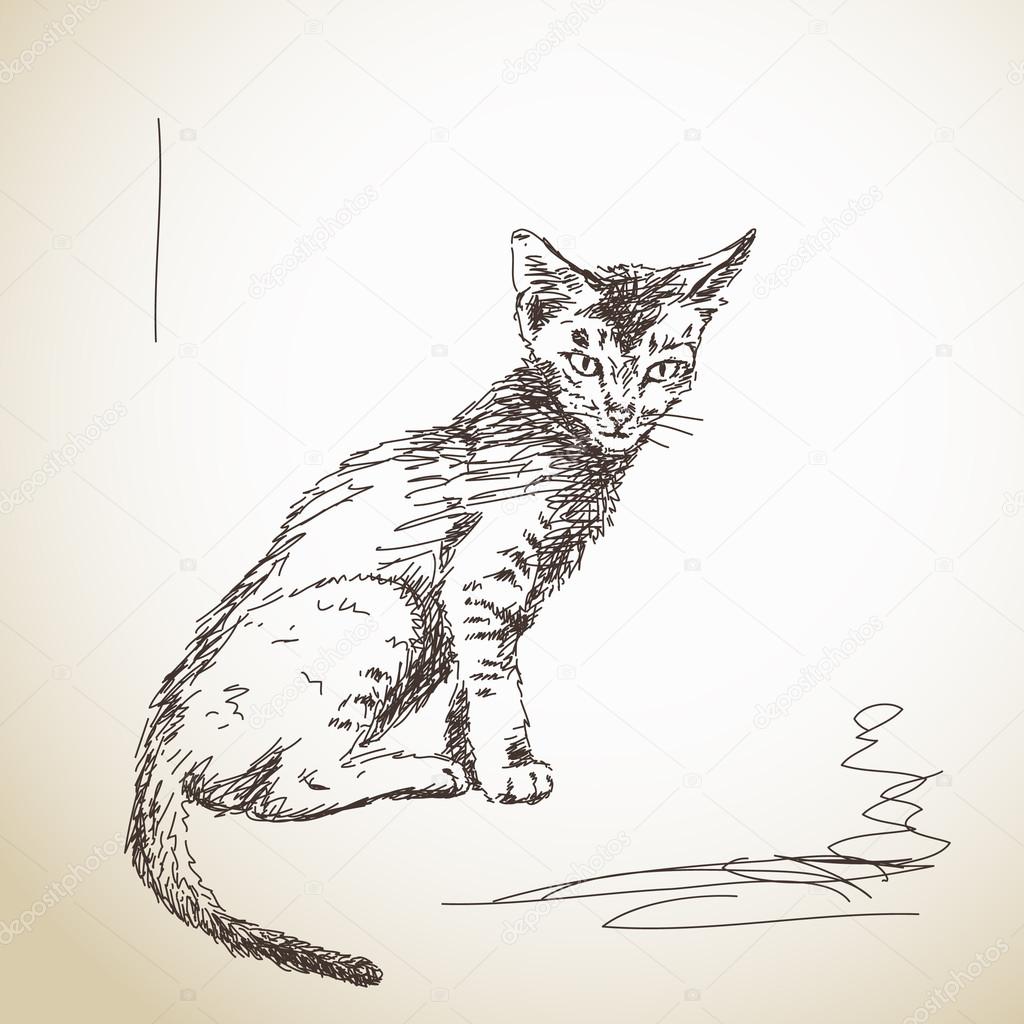 1024x1024 Hand Drawn Skinny Little Cat Stock Vector Olgatropinina
